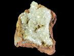 Gemmy, Yellow-Green Adamite Crystals - Durango, Mexico #65311-1